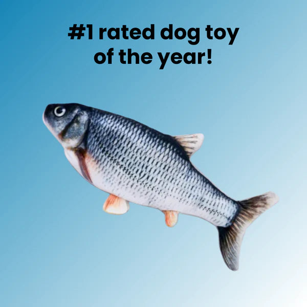 The Dancing Fish Toy