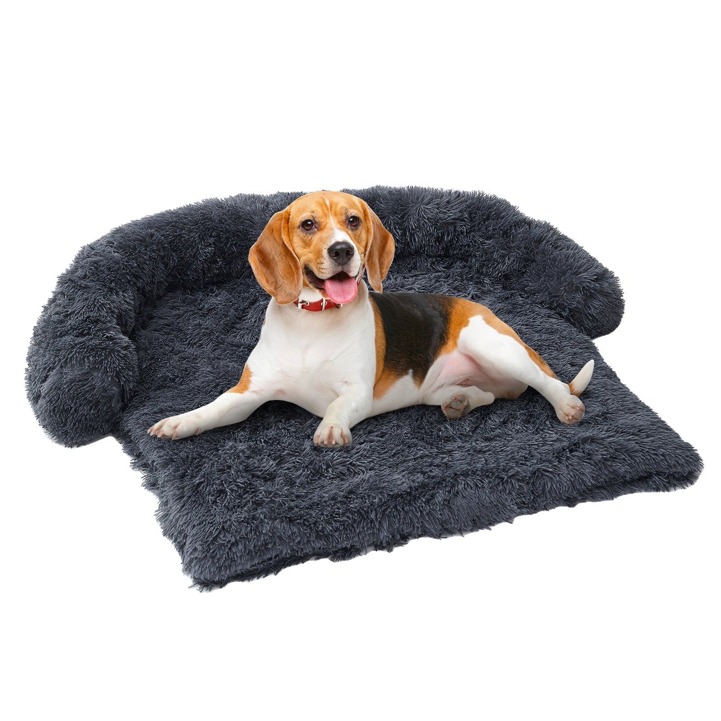 Pets Couch