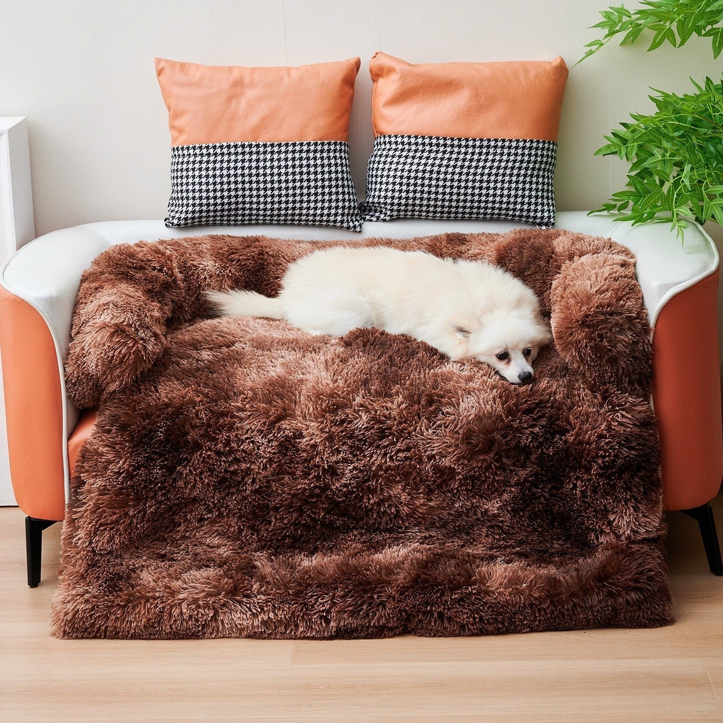 Pets Couch