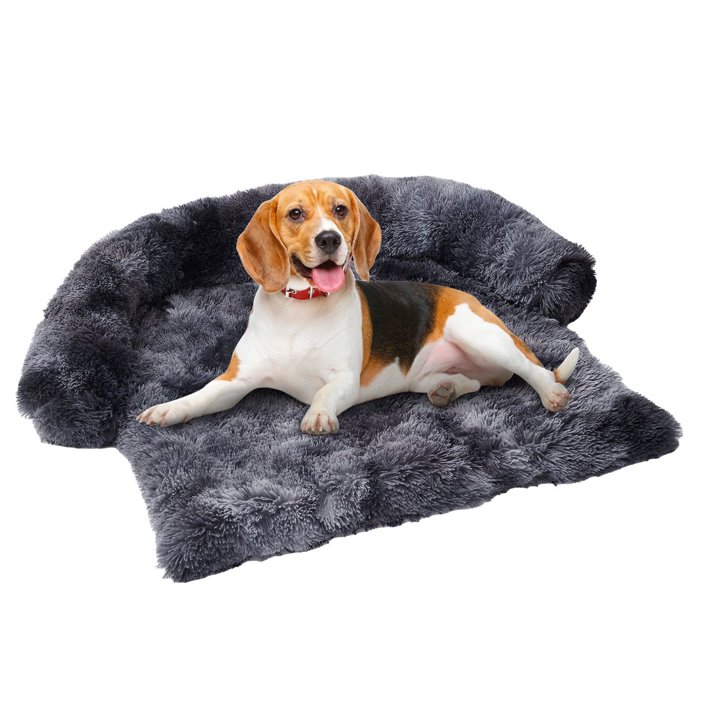 Pets Couch