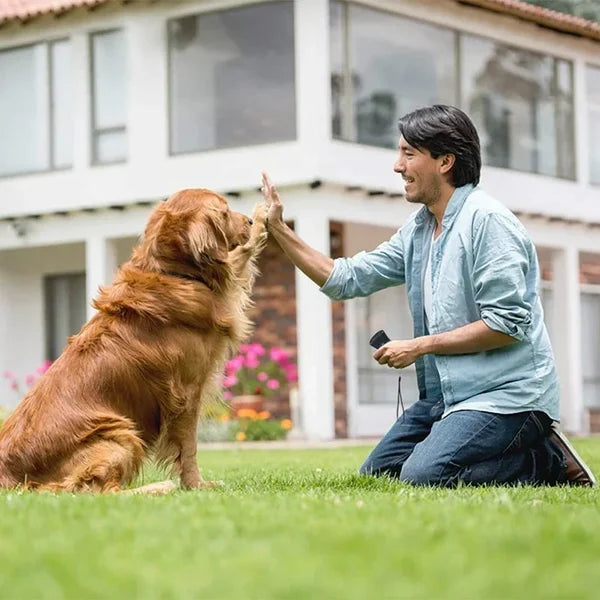 đ„Ultrasonic Anti Barking Dog Device