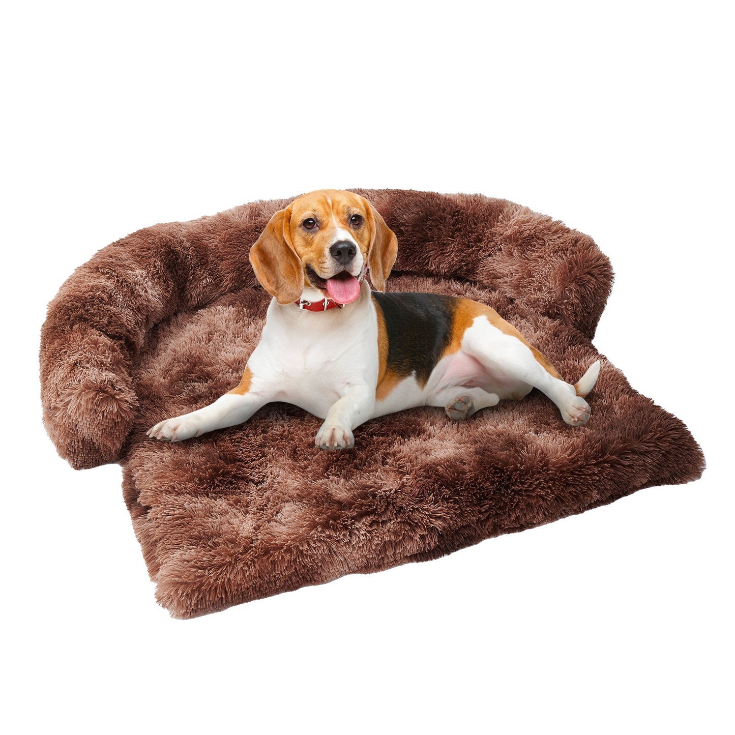 Pets Couch