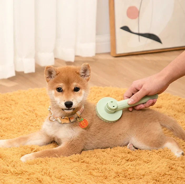 Self-Cleaning Grooming Brush
