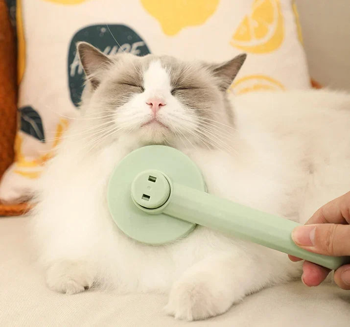 Self-Cleaning Grooming Brush