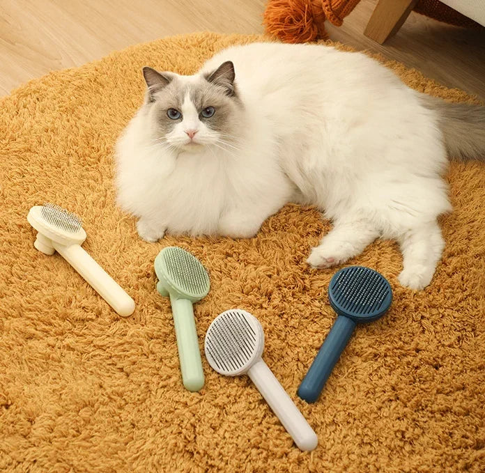 Self-Cleaning Grooming Brush